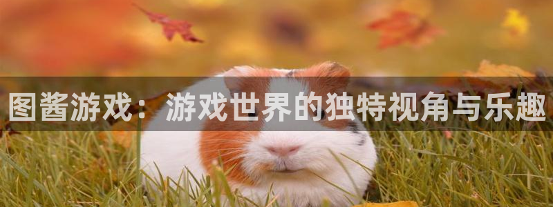 沐鸣2年费是多少