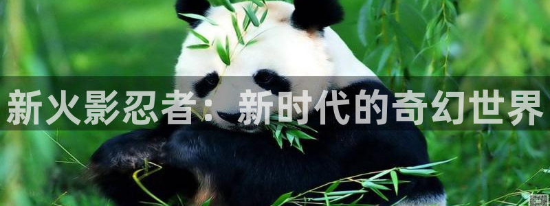 沐鸣2官网注册：新火影忍者：新时代的奇幻世界