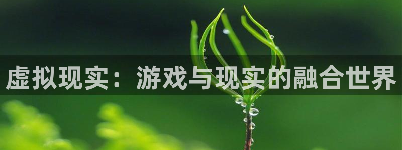 沐鸣2登录步骤：虚拟现实：游戏与现实的融合世界