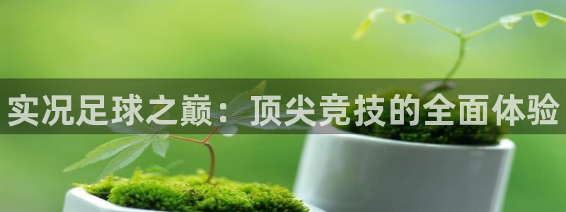 沐鸣2官网：实况足球之巅：顶尖竞技的全面体验