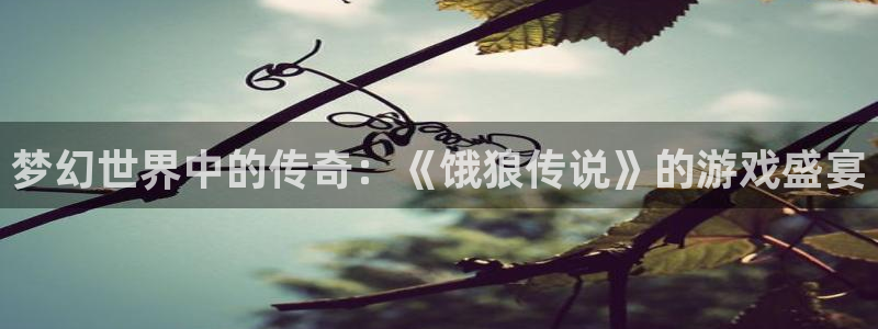 沐鸣2：梦幻世界中的传奇：《饿狼传说》的游戏盛宴