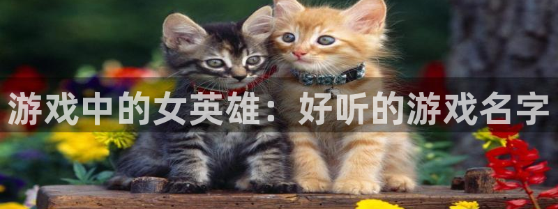 沐鸣2官网：游戏中的女英雄：好听的游戏名字