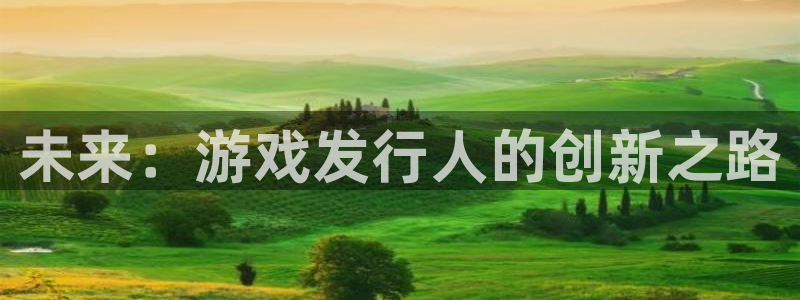 沐鸣2设置100%流畅：未来：游戏发行人的创新之路