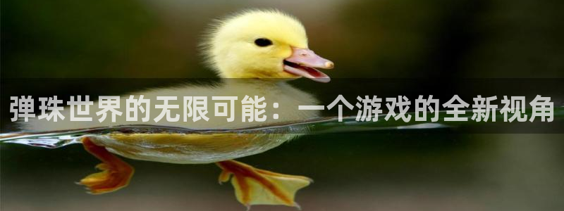 沐鸣2娱乐注册平台